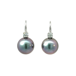 Tahitian Pearl Earrings