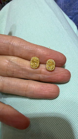 Yellow Diamond Earrings