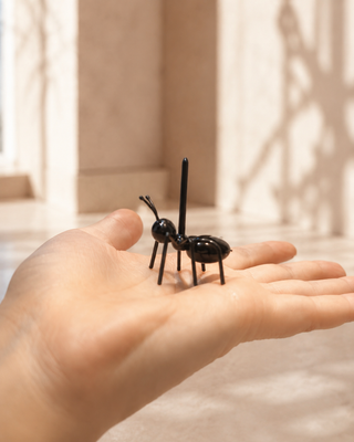 Worker Ant Party Picks