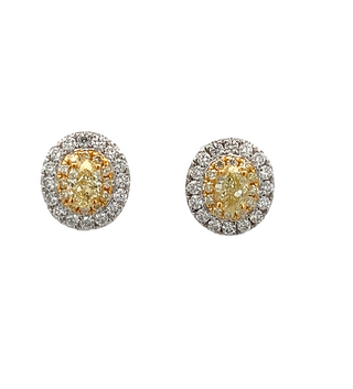 Yellow & White Diamond Halo Earrings